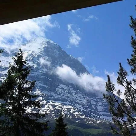 Adler 2 Bett Holiday home Grindelwald