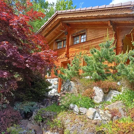 Adler 2 Bett Grindelwald